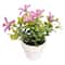 Assorted Micro Premade Flowering Plant, 1pc. by Ashland®
